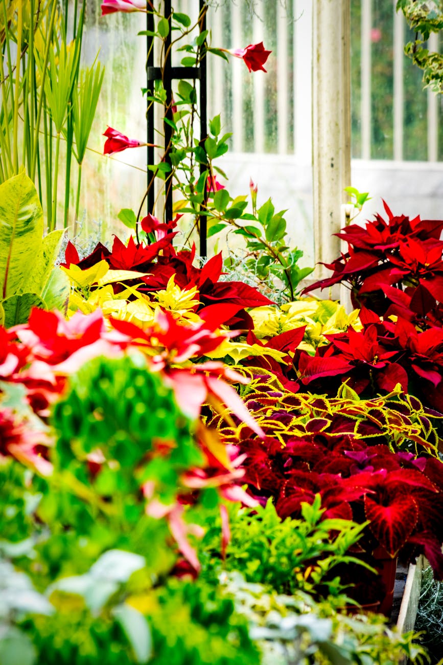 About Freshroots Living